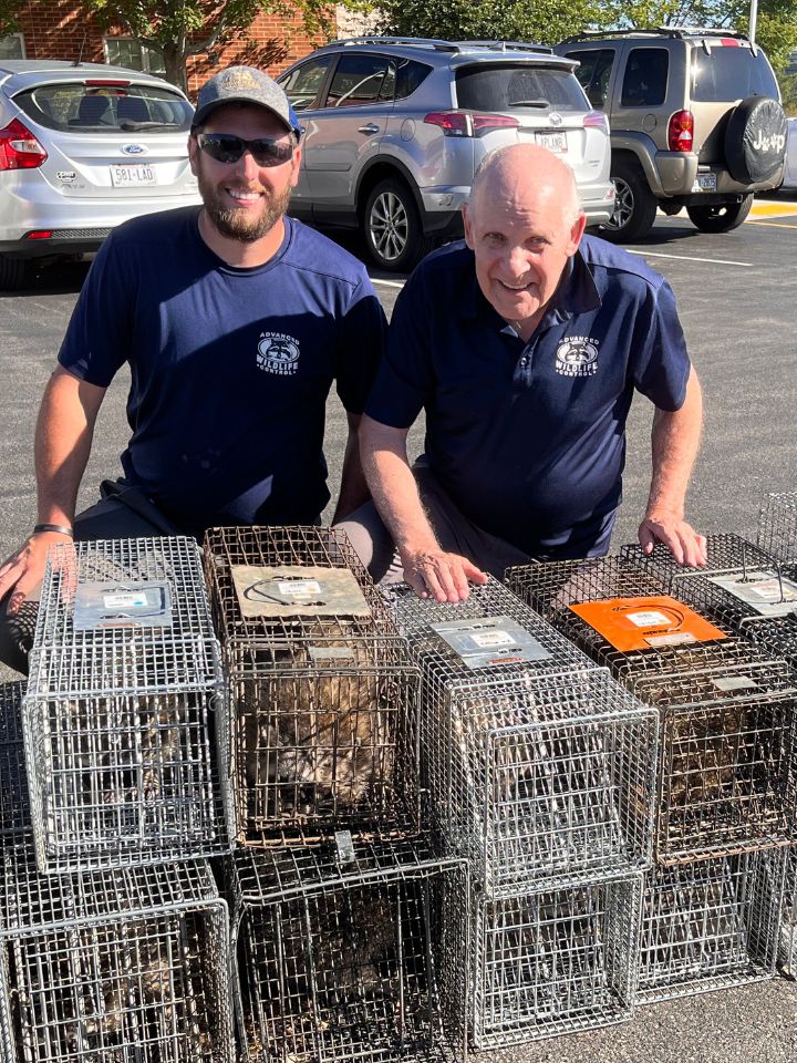 Humane Wildlife Removal Services