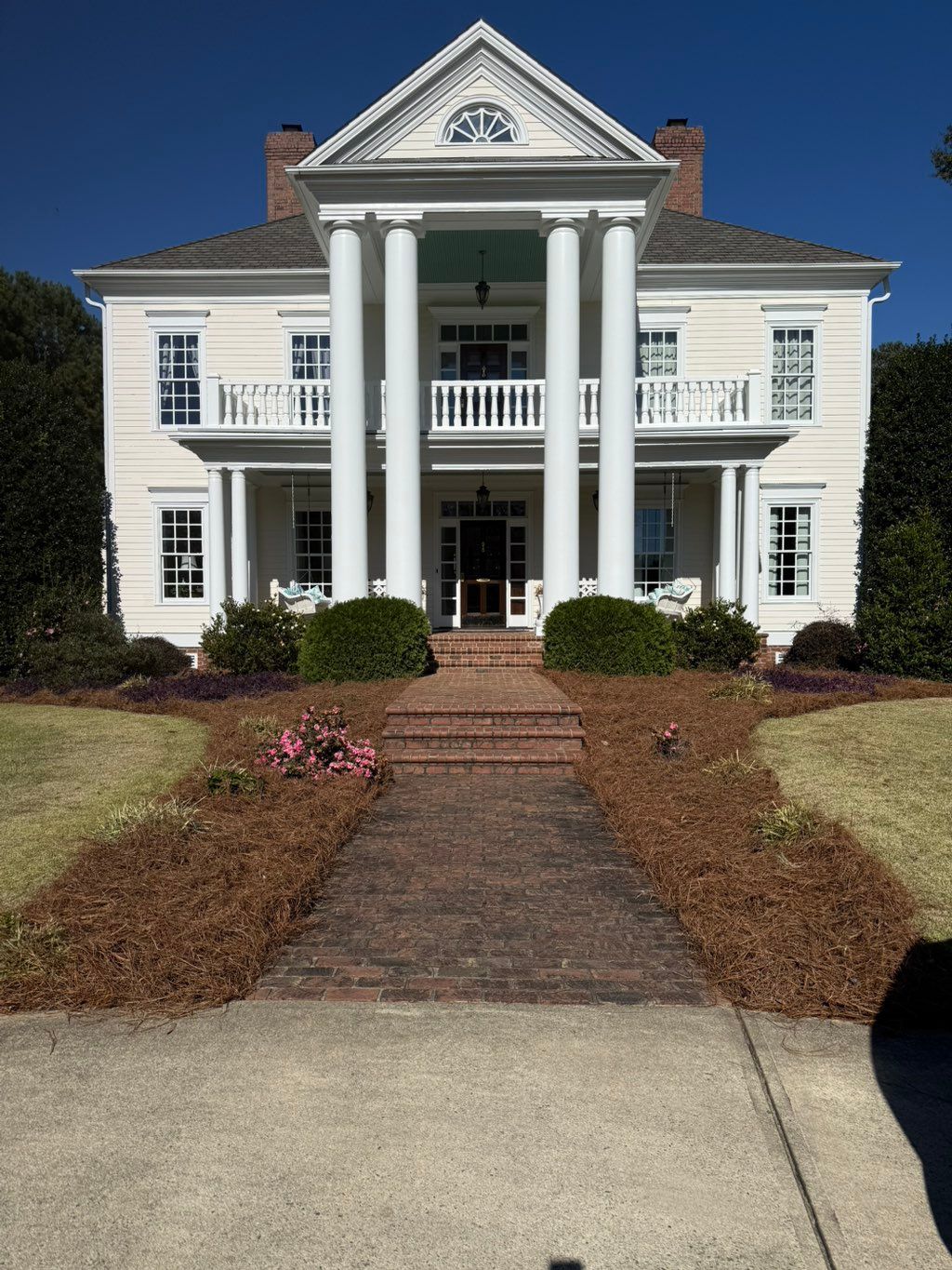 Pine straw installation 