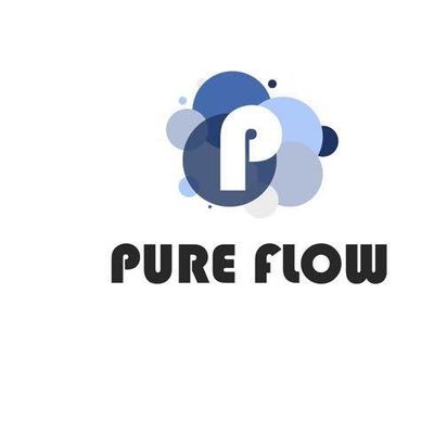 Avatar for PUREFLOW AIRDUCT AND CHIMNEY CLEANING INC