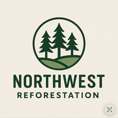 Northwest Reforestation