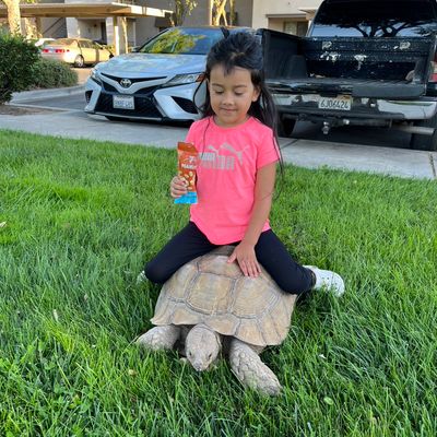 Avatar for Handyman’s-Multi-Services