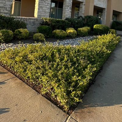 Avatar for Romero Landscaping