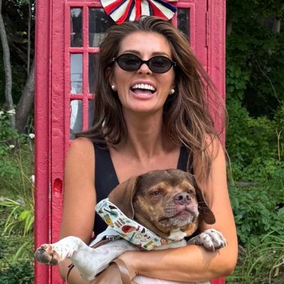 Avatar for Early Bird Contracting & Design