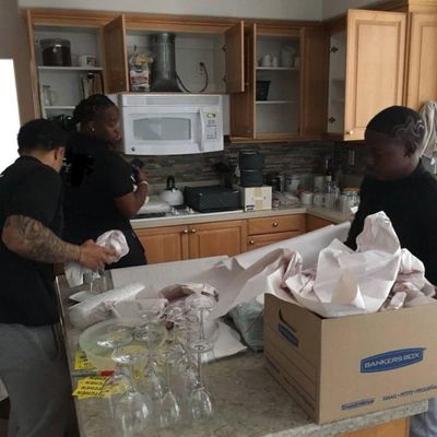 Avatar for Ori Movers