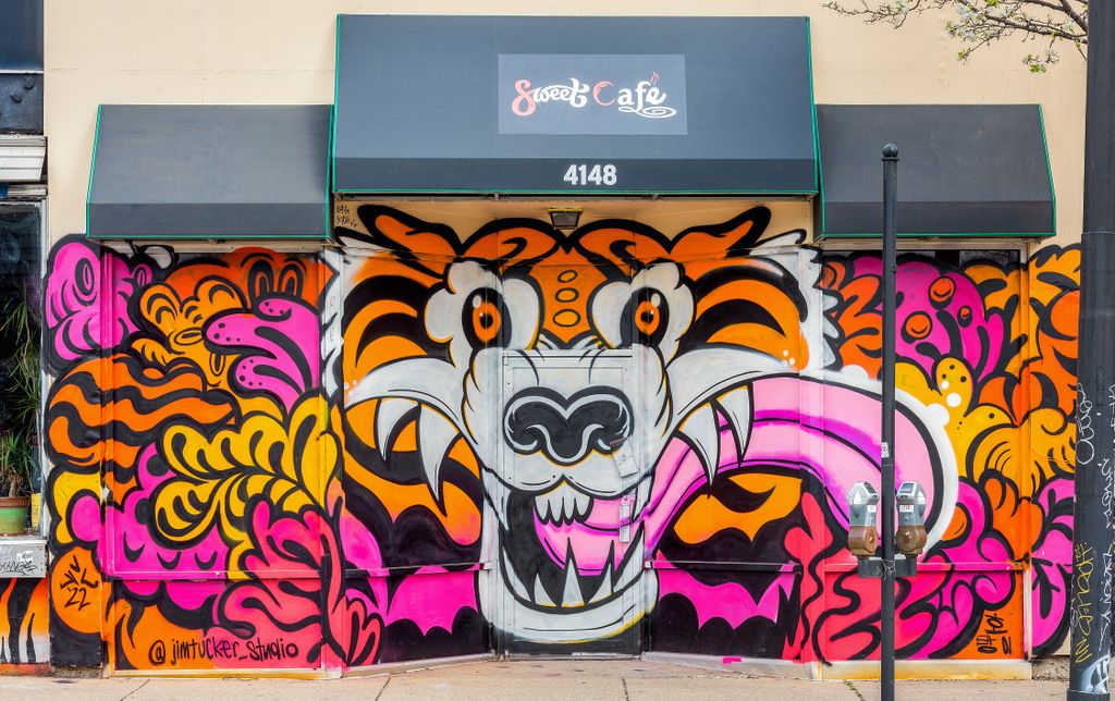 A Tiger on Hamilton Avenue. Temporary storefront m