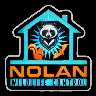 Avatar for Nolan Wildlife Control