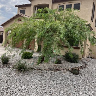 Avatar for Santiago landscaping