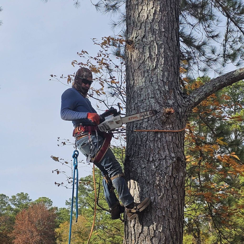 DIAZ TREE SERVICE Y LANDSCAPING L.L.C