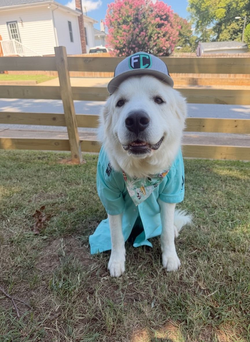 Archie - Our First Class Mascot