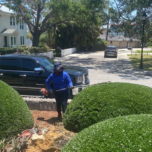 González Lawn service