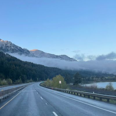 Avatar for Carlos Pena