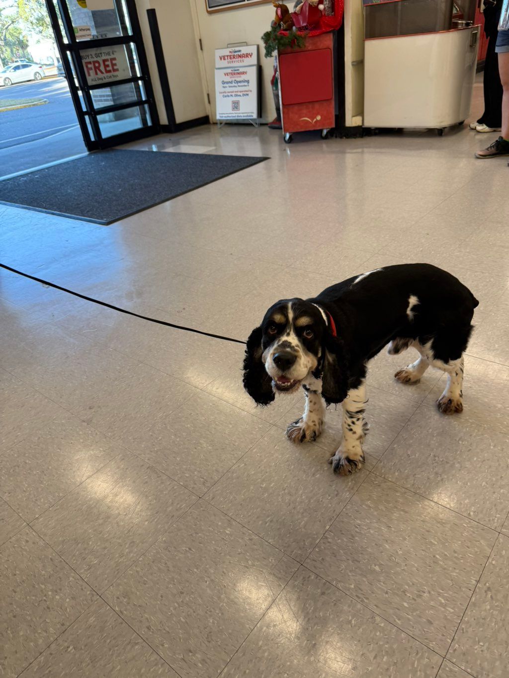 Prestige Construction Management’s very own Newton