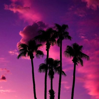 Avatar for Rodrigo Trejo Hernández