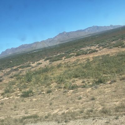 Avatar for Iron Soldier Transportation