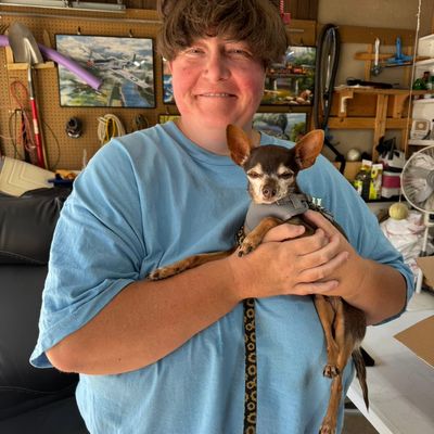 Avatar for Darcies pet services