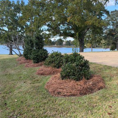 Avatar for Wright Yard Services LLC