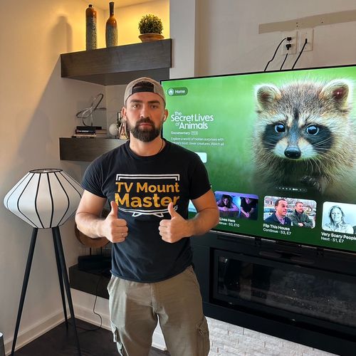 Handyman-Tv Mount Master