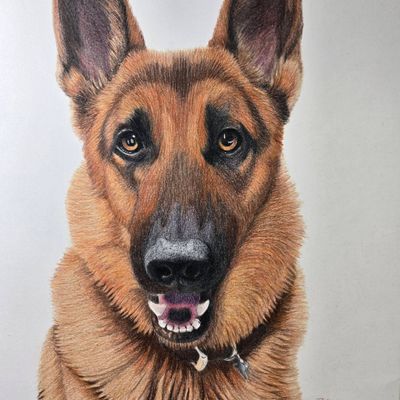 Avatar for Bianca Amalia