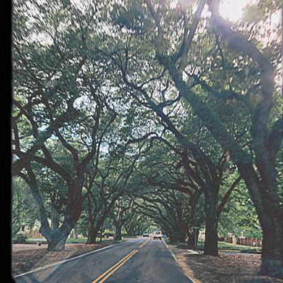 Avatar for Demeko Penn