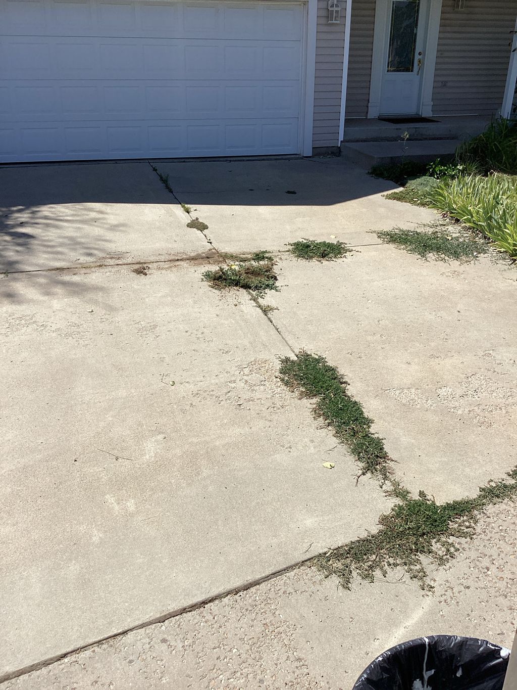 The concrete's joints were exposed allowing water 