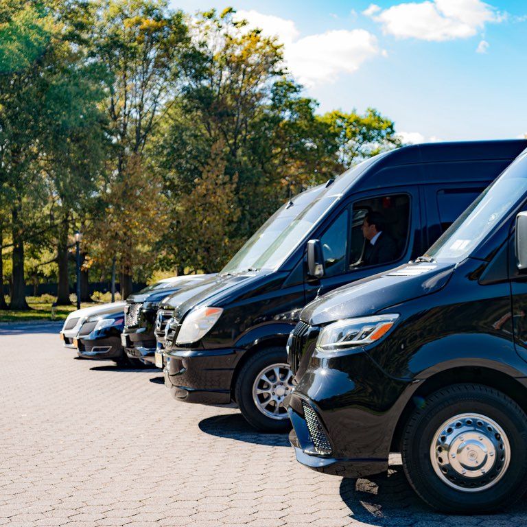 Platinum Carls Service