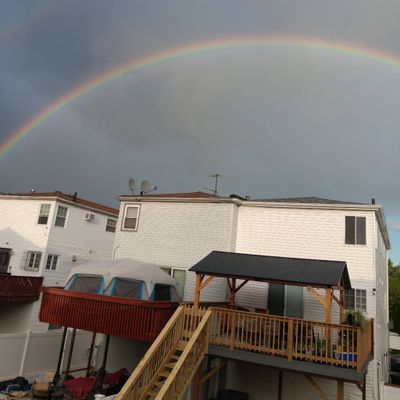 Avatar for Charlie Painting and renovation