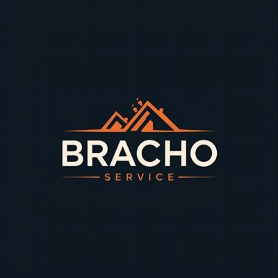 Avatar for Bracho Service DB LLC