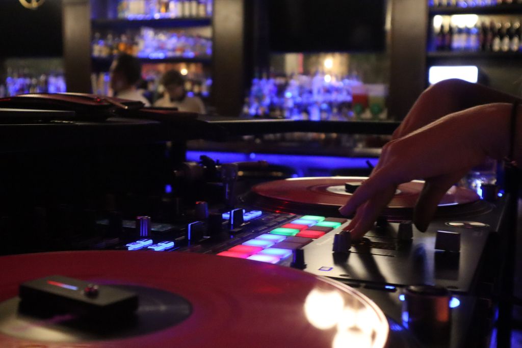 Refined Vinyl Artistry