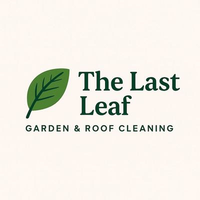 Avatar for Last leaf landscape
