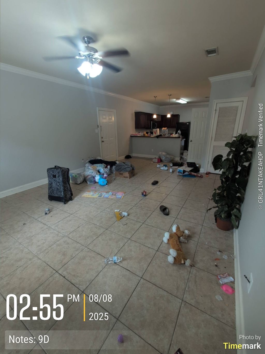 Junk Removal Denham Springs 