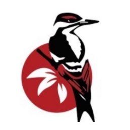 Avatar for Bayside Hardwood Floor