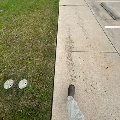 Avatar for Rosa Services