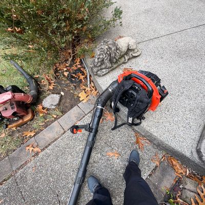 Avatar for Will leaf cleaning service