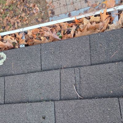 Avatar for JG Roofing Contractor