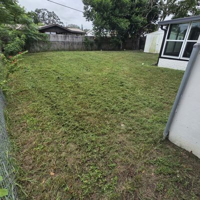 Avatar for Wyde open lawns, scrapping and more LLC