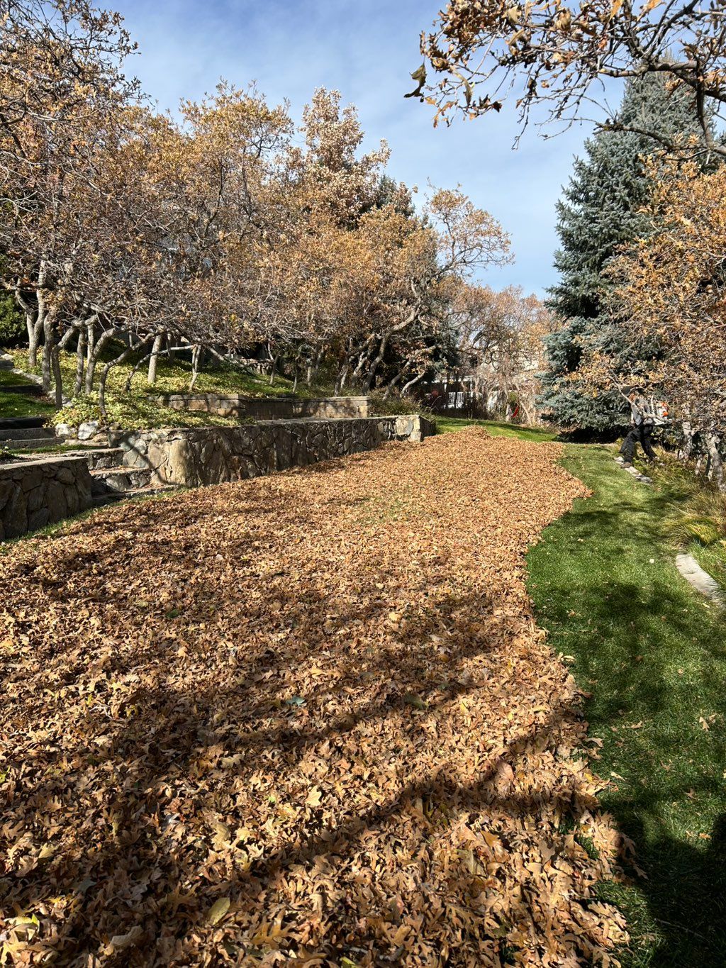 Fall leaf cleanup photo during work photo. 