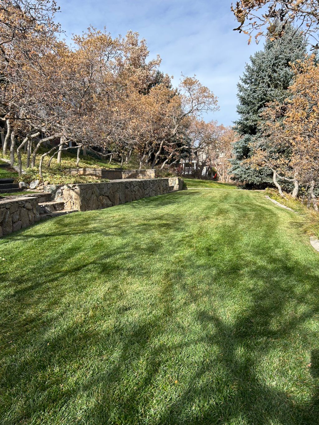 Fall leaf cleanup after work is complete photo. 