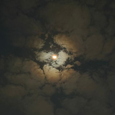 Avatar for HV Health and Safety solution implementers