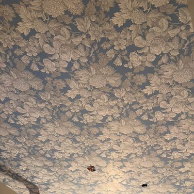 Avatar for Wilson RC