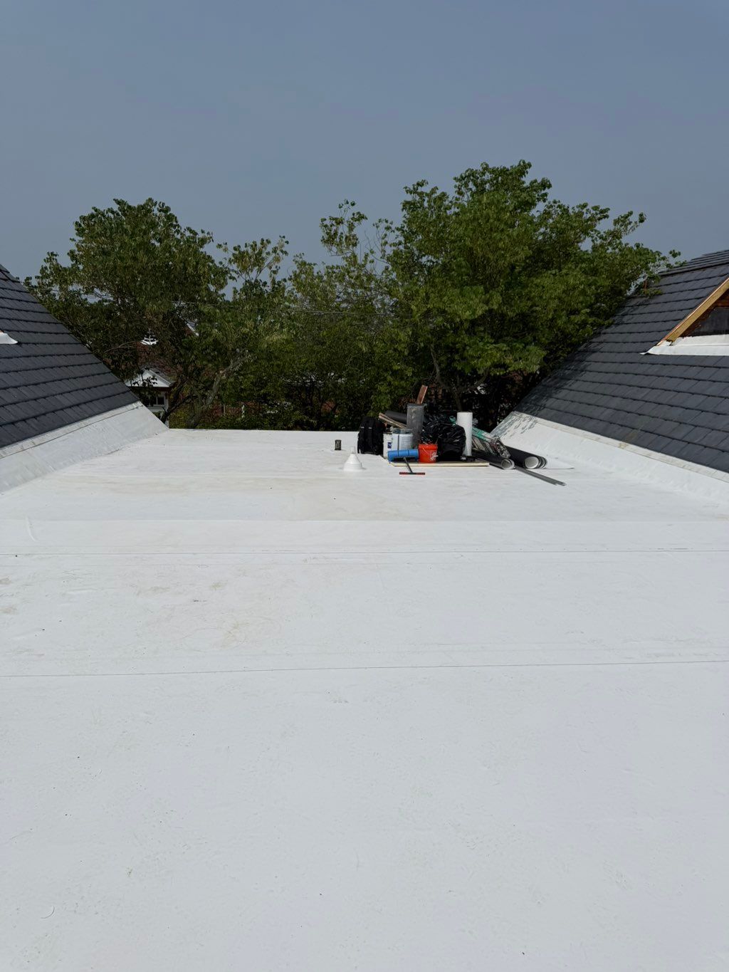 Single ply TPO System 