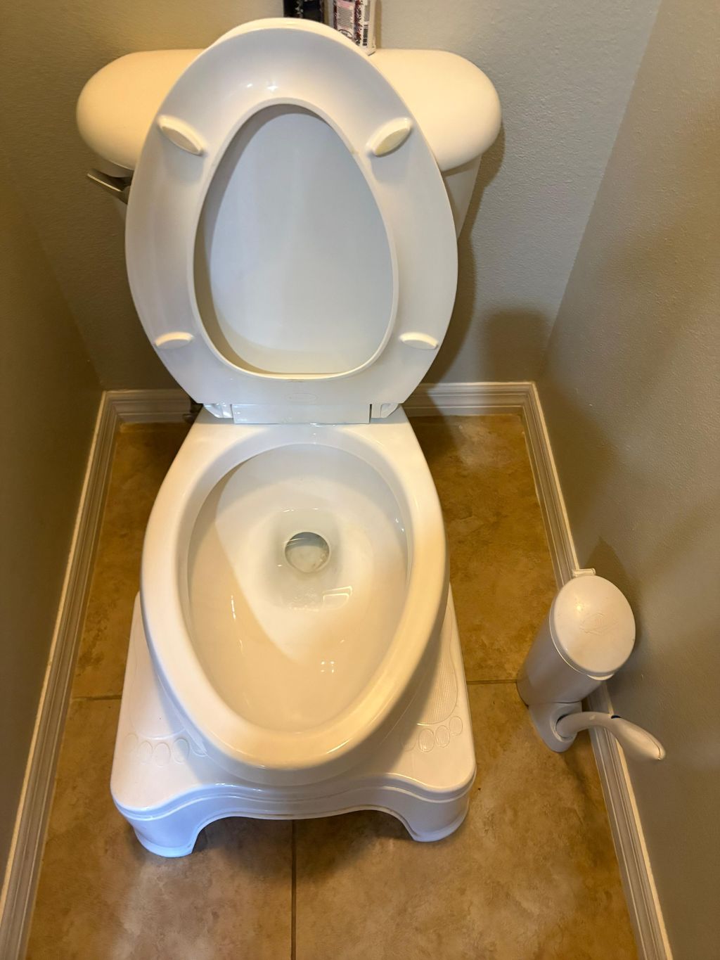 Sparkling toilets, fresh vibes 🚽✨