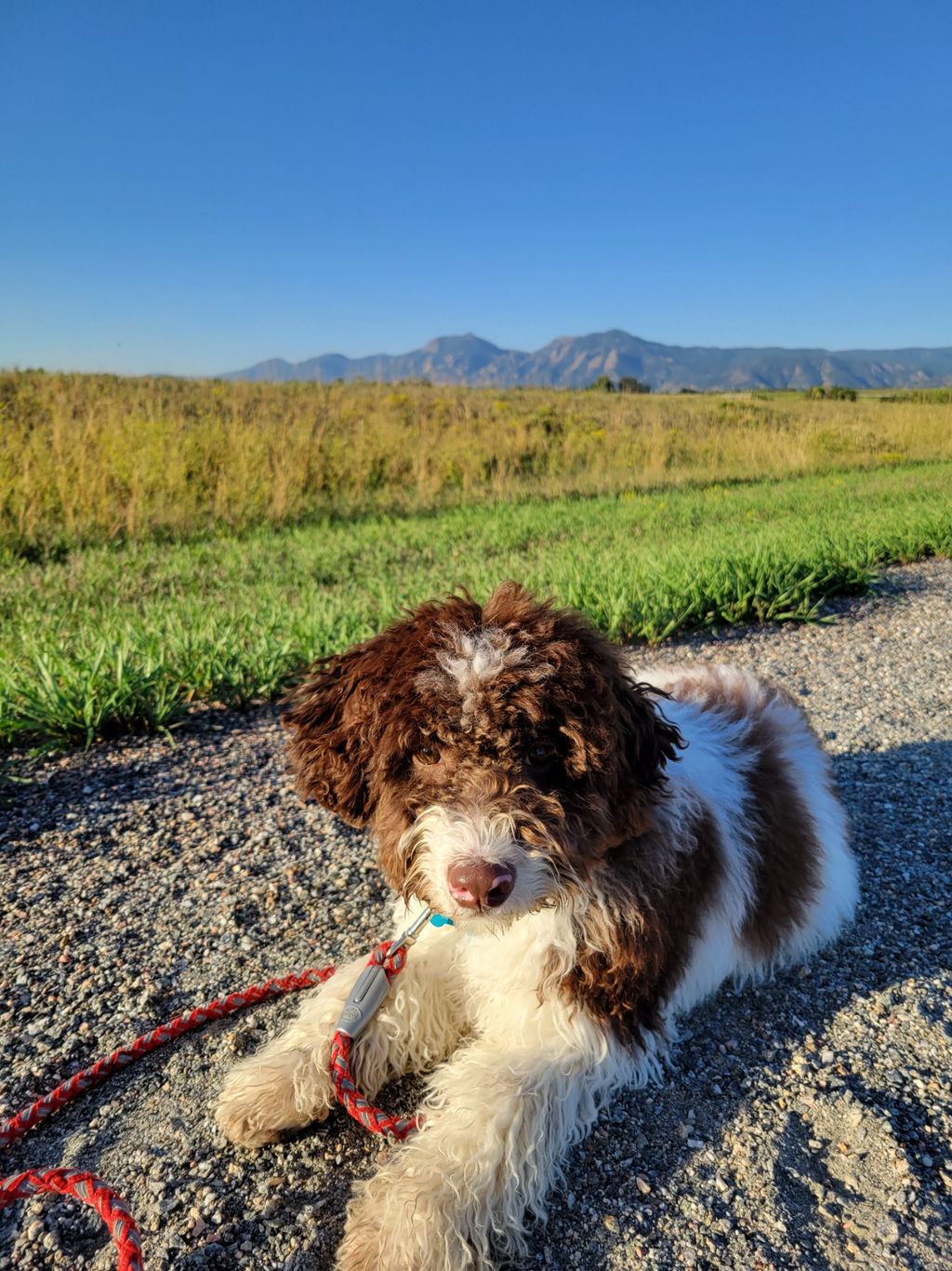 We love a front range morning!