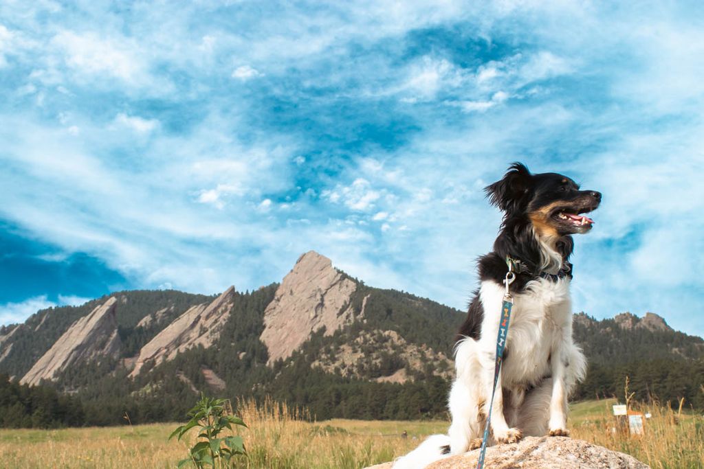 Can't beat the flatirons for a walk!