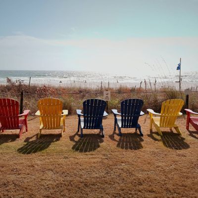 Avatar for M C Photography