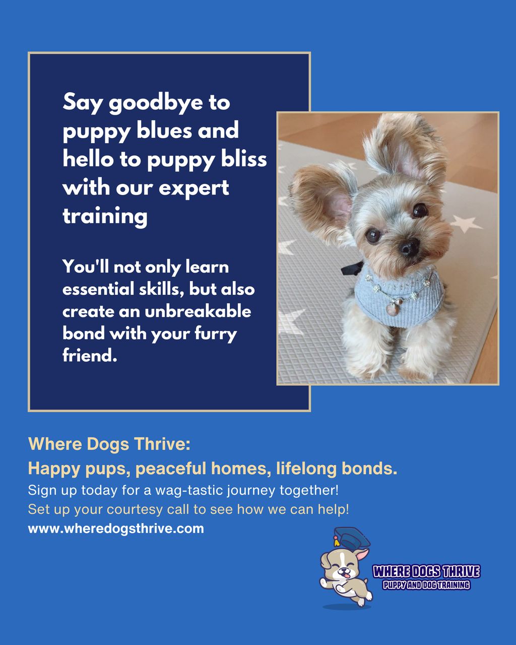 Happy Pups, Peaceful Homes!