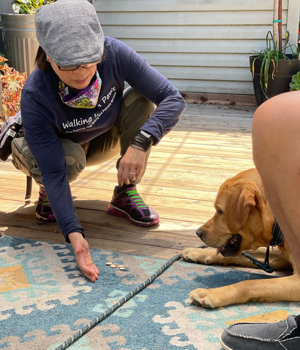 1-on-1 private coaching in your home.