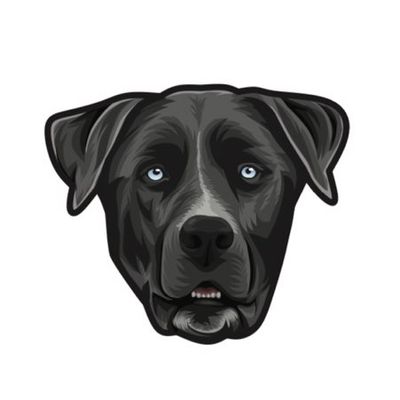 Avatar for Zeus Outdoor Services