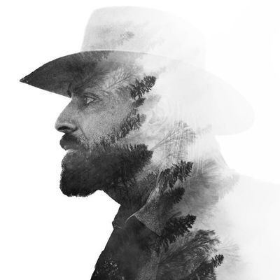 Avatar for Excell Investigations