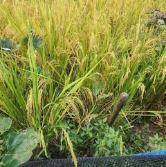 Avatar for we haul tree service