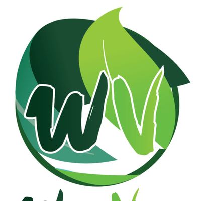 Avatar for Worldview Landscape & Nursery